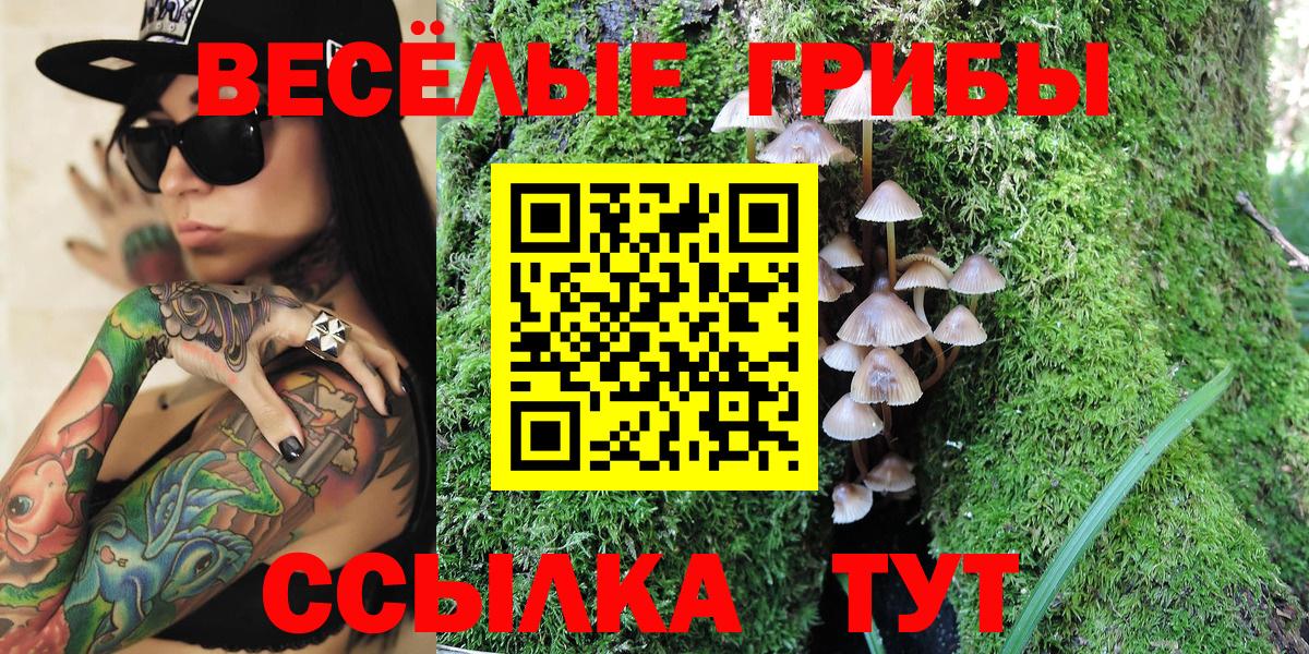 Среднеуральск  Псилоцибиновые грибы Magic Shrooms  Галлюциногенные грибы ЛСД  Вход с VPN 