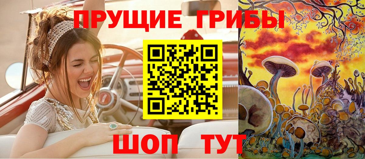 Псилоцибиновые грибы Psilocybine cubensis Среднеуральск
